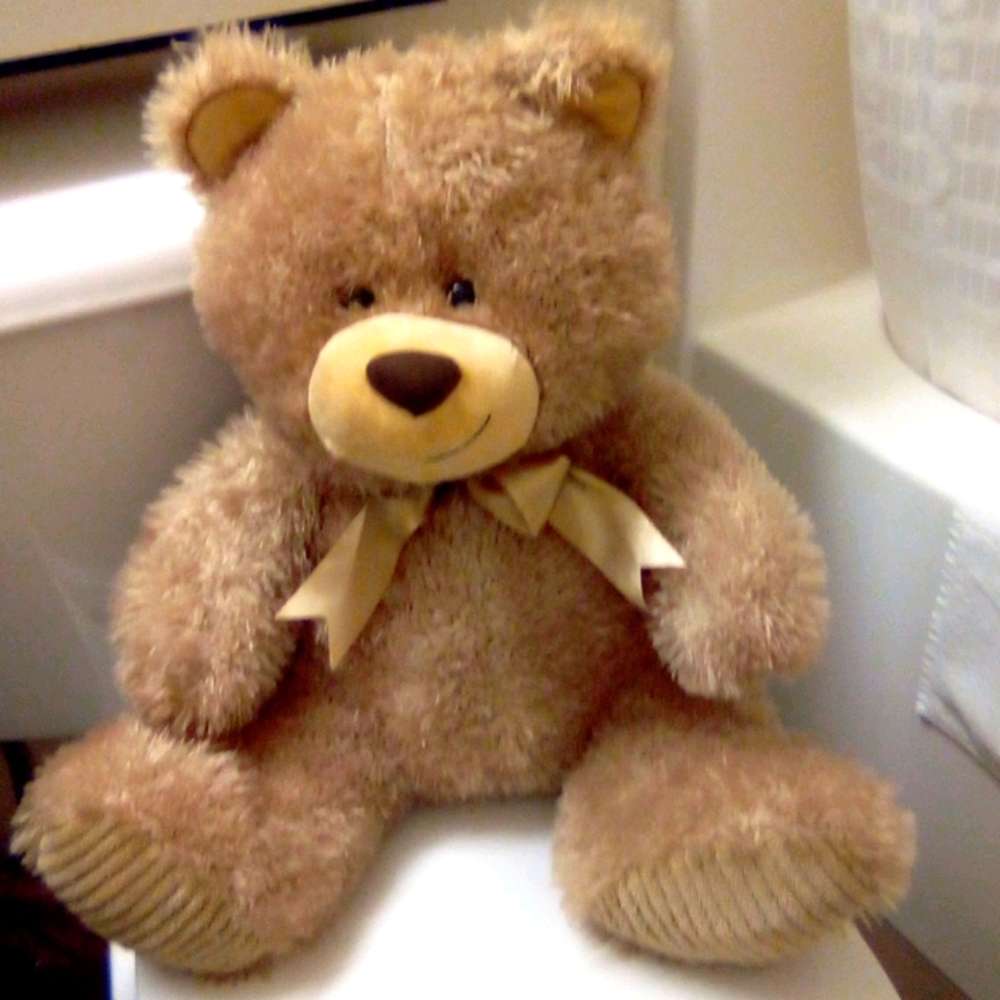 Teddy bear